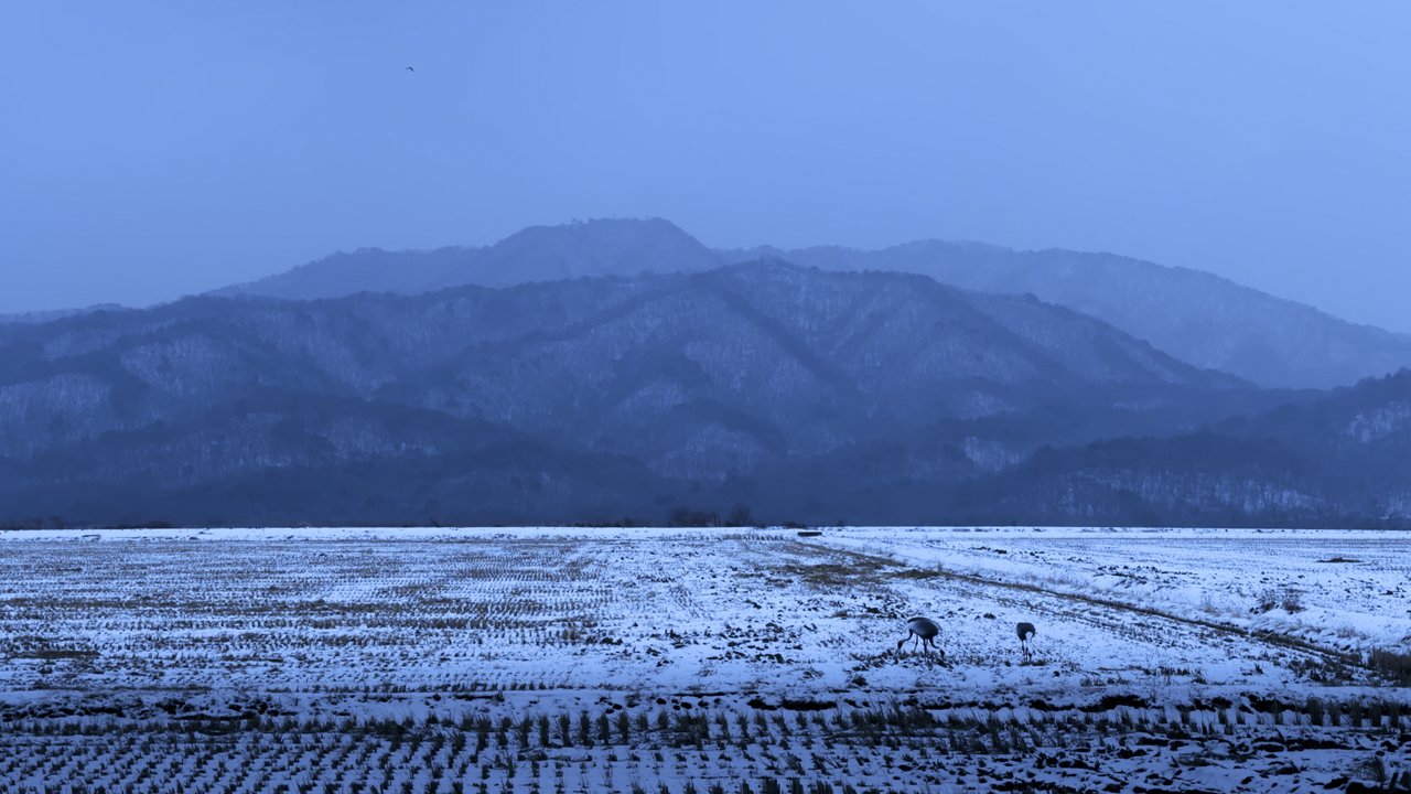 A young Yu: Border Ecologies