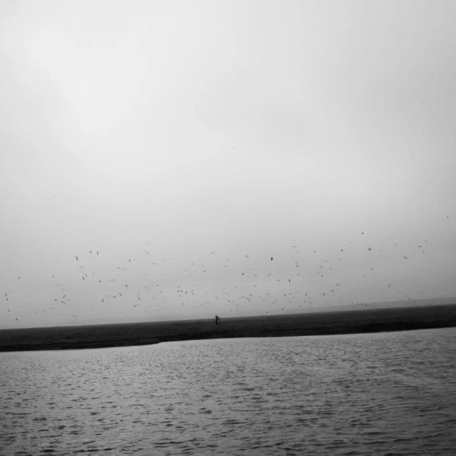 The Deep